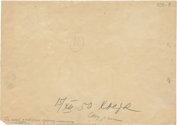 Шурига Пелагея Николаевна. Хоста